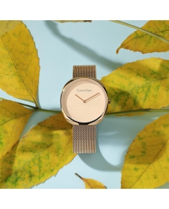 Купить Наручные часы Calvin Klein 25200247  в E-mobi