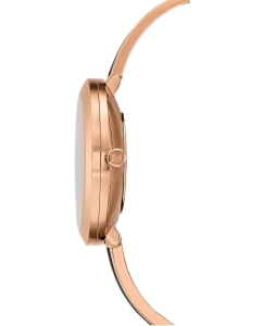 Купить Швейцарские наручные часы Swarovski 5580530  в E-mobi