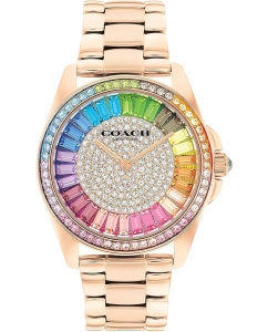 Купить Наручные часы COACH 14504275 в E-mobi