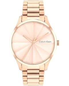 Купить Наручные часы Calvin Klein 25200231-ucenka в E-mobi