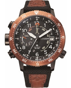 Купить Японские наручные часы Citizen BN4049-11E в E-mobi