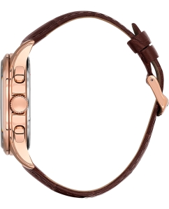 Купить Наручные часы Daniel Klein DK.1.13676-3  в E-mobi