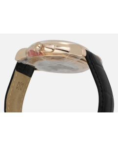 Купить Российские механические золотые наручные часы NIKA 1093.0.1.41A  в E-mobi