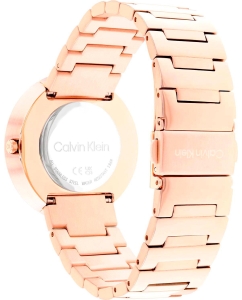 Купить Наручные часы Calvin Klein 25200291  в E-mobi