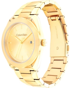 Купить Наручные часы Calvin Klein 25200199  в E-mobi