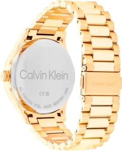 Купить Наручные часы Calvin Klein 25200327  в E-mobi