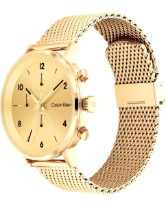 Купить Наручные часы Calvin Klein 25200109  в E-mobi