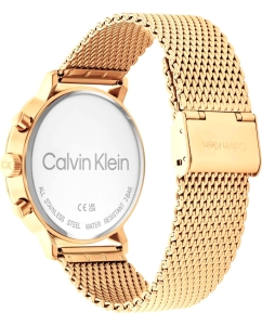 Купить Наручные часы Calvin Klein 25200109  в E-mobi