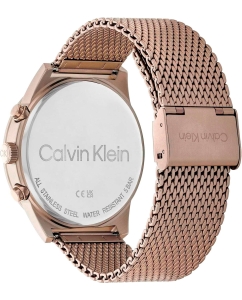 Купить Наручные часы Calvin Klein 25200297  в E-mobi