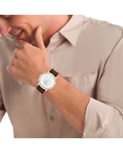 Купить Наручные часы Calvin Klein 25200381  в E-mobi