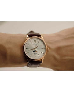 Купить Японские наручные часы Citizen AK5003-05A  в E-mobi