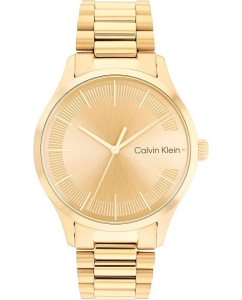 Купить Наручные часы Calvin Klein 25200038 в E-mobi