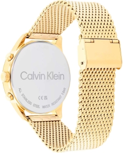 Купить Наручные часы Calvin Klein 25200375  в E-mobi