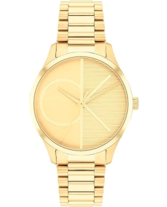 Купить Наручные часы Calvin Klein 25200346 в E-mobi