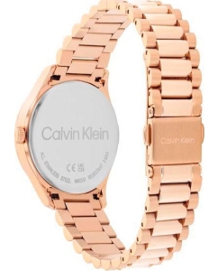 Купить Наручные часы Calvin Klein 25200347  в E-mobi