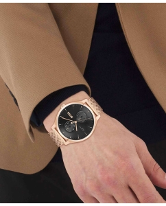 Купить Наручные часы Hugo Boss HB1514104  в E-mobi