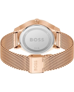 Купить Наручные часы Hugo Boss HB1514104  в E-mobi