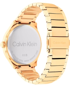 Купить Наручные часы Calvin Klein 25200349  в E-mobi