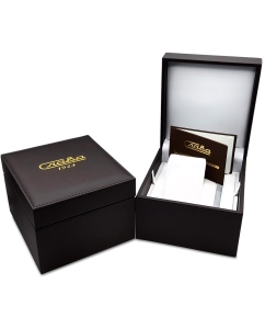 Купить Российские механические наручные часы Слава 9020578/300-2427  в E-mobi