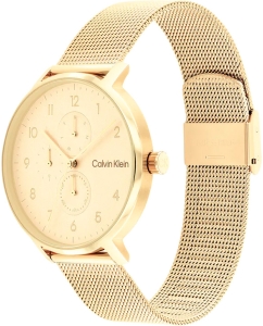 Купить Наручные часы Calvin Klein 25200403  в E-mobi