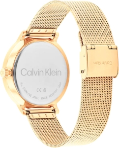 Купить Наручные часы Calvin Klein 25200403  в E-mobi