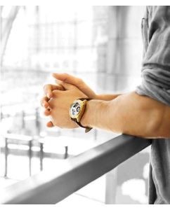 Купить Механические наручные часы Stuhrling 3918.3  в E-mobi