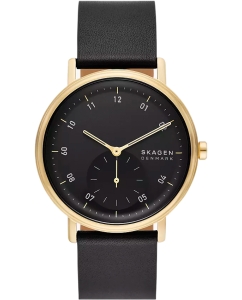 Купить Наручные часы Skagen SKW6896 в E-mobi