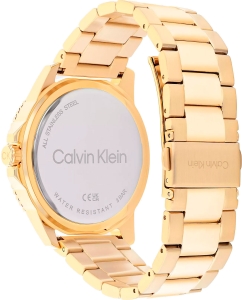Купить Наручные часы Calvin Klein 25200383  в E-mobi