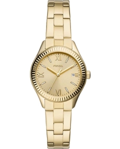 Купить Наручные часы Fossil BQ3638 в E-mobi