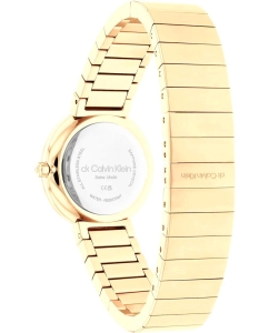 Купить Наручные часы Calvin Klein 25000043  в E-mobi