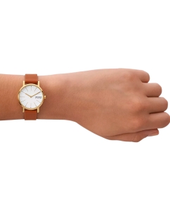 Купить Наручные часы Skagen SKW3121  в E-mobi