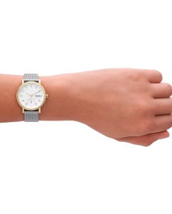 Купить Наручные часы Skagen SKW3101  в E-mobi