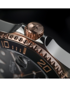 Купить Швейцарские механические наручные часы DAVOSA DAV.16619650  в E-mobi