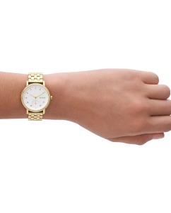 Купить Наручные часы Skagen SKW3102  в E-mobi