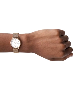 Купить Наручные часы Skagen SKW2694  в E-mobi