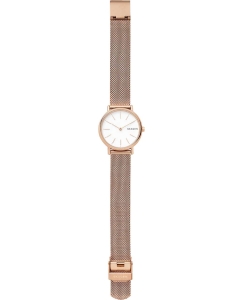 Купить Наручные часы Skagen SKW2694  в E-mobi
