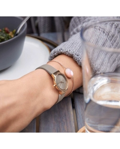 Купить Наручные часы Skagen SKW3005  в E-mobi