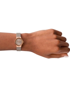 Купить Наручные часы Skagen SKW3005  в E-mobi