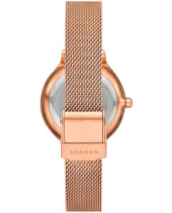 Купить Наручные часы Skagen SKW3150  в E-mobi