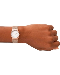 Купить Наручные часы Skagen SKW3078  в E-mobi