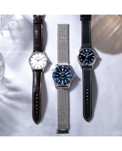 Купить Швейцарские механические наручные часы DAVOSA DAV.16145615  в E-mobi