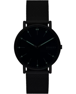 Купить Наручные часы Skagen SKW6904  в E-mobi