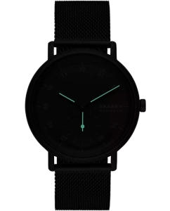 Купить Наручные часы Skagen SKW6891  в E-mobi