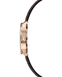 Купить Механические наручные часы AGELOCER 9004D2  в E-mobi