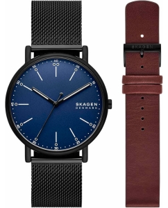 Купить Наручные часы Skagen SKW6933SET в E-mobi
