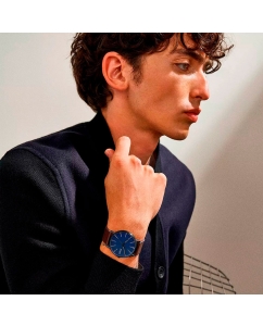Купить Наручные часы Skagen SKW6933SET  в E-mobi