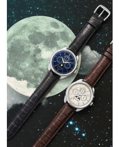 Купить Японские наручные часы MASTER WORKS MW21SI-ACDBO8  в E-mobi