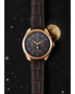 Купить Японские наручные часы MASTER WORKS MW21AR1-GCBRO81  в E-mobi