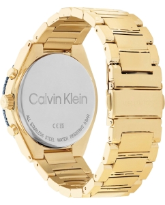 Купить Наручные часы Calvin Klein 25200302  в E-mobi
