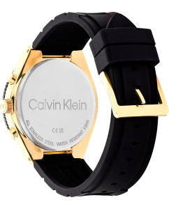 Купить Наручные часы Calvin Klein 25200306  в E-mobi